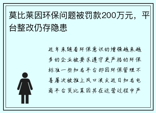 莫比莱因环保问题被罚款200万元，平台整改仍存隐患