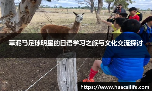 beats365·(中国区)唯一官方网站